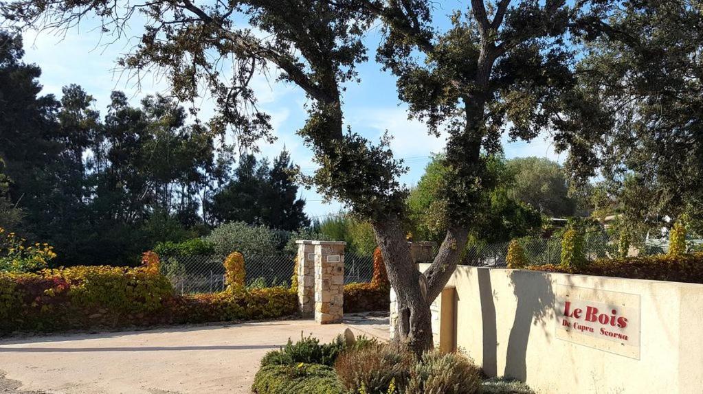 Le Bois De Capra Scorsa Villa Belgodere  Exterior photo
